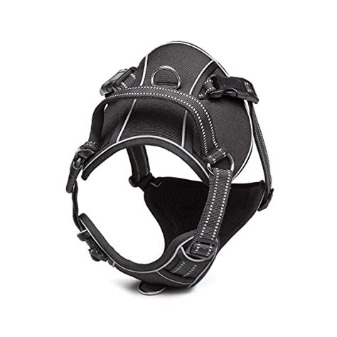 hundegeschirr prada